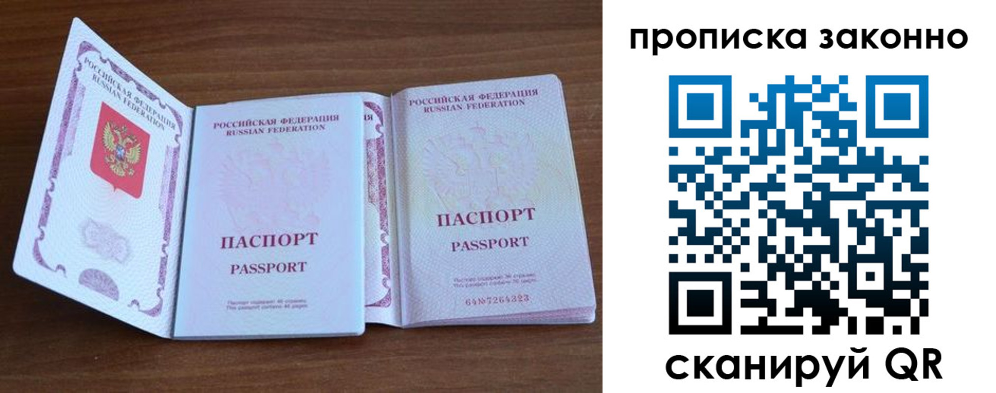 прописка поиск в Кингисеппе
